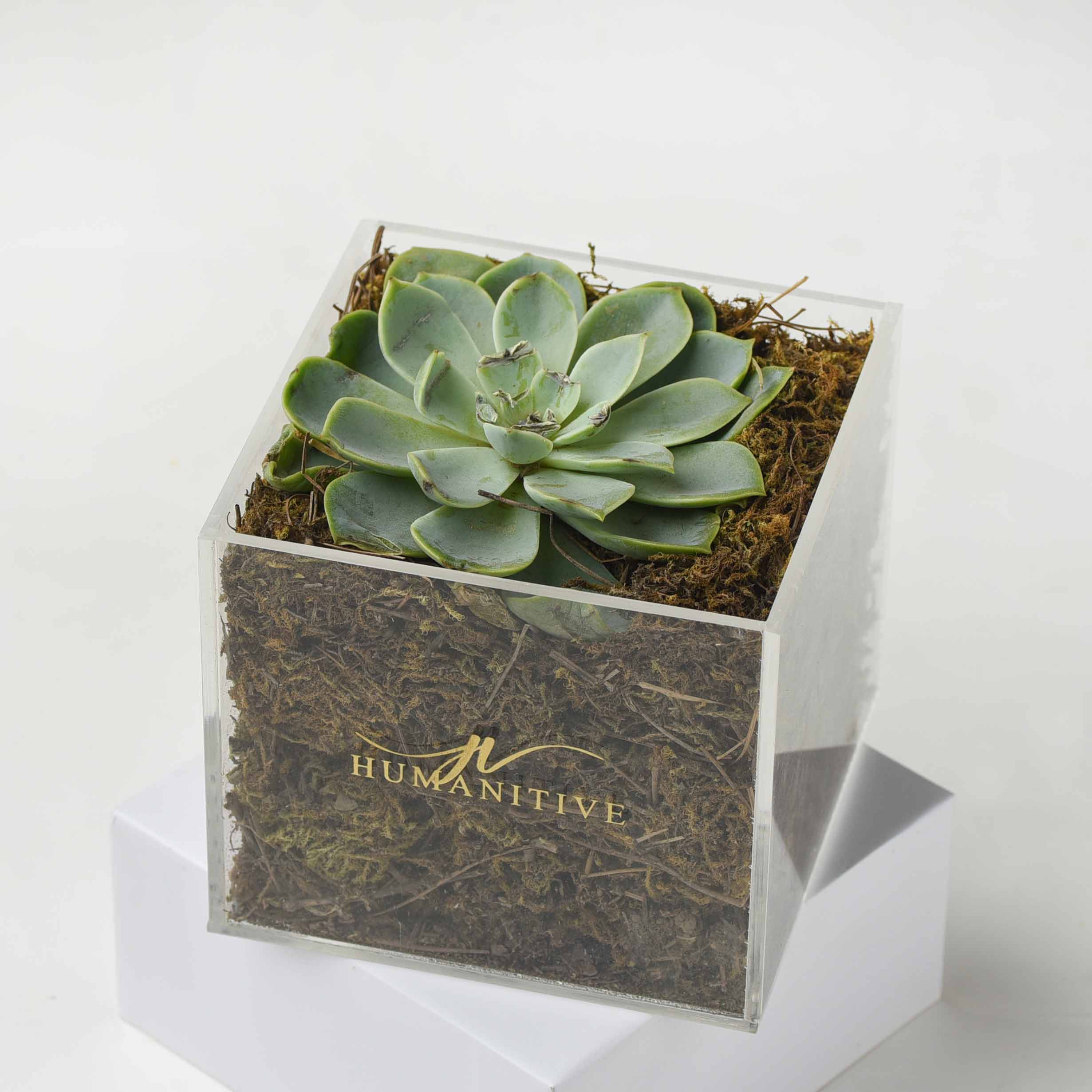 Congratulations Grand